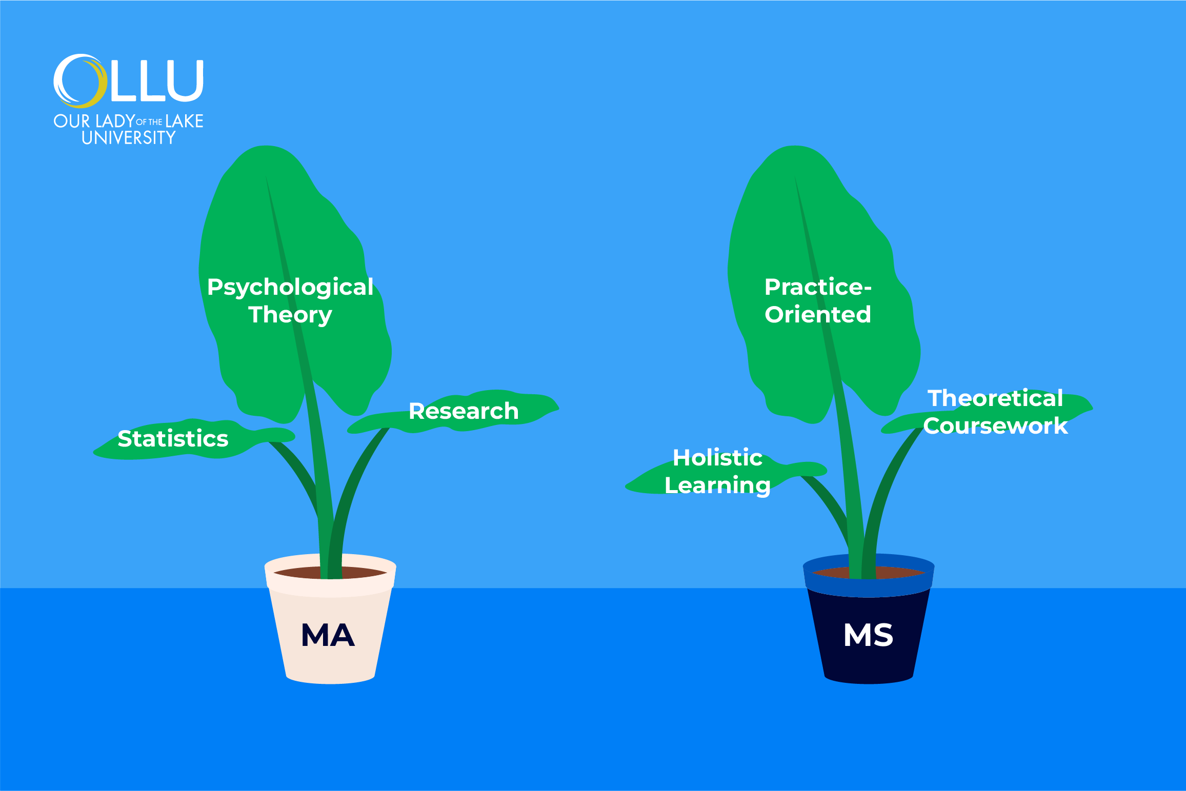 difference-between-ma-and-ms-in-psychology